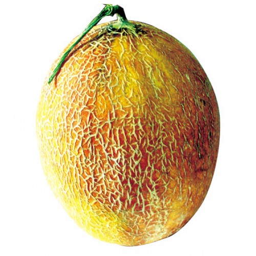 Ananas Kavun Fidesi